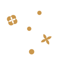 confetti3